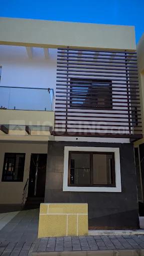 Kumar Plumeria Main Image 1