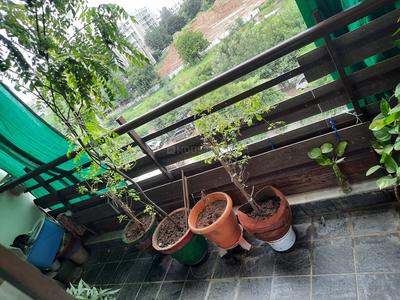 Balcony Image of 1700 Sq.ft 3 BHK Apartment / Flat for sale in Gota Ahmedabad for Rs. 9500000