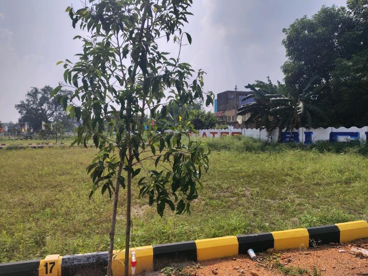 Thiruvallur Main Image 1