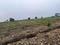 Degma farms Plot View 2