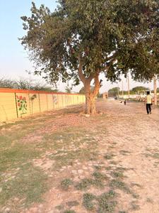 Image of 1000 Sq.ft Residential Plot / Land for sale in Nagram, Lucknow for Rs. 1499000