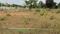 Maruthi Extension, Malur Plot View 2