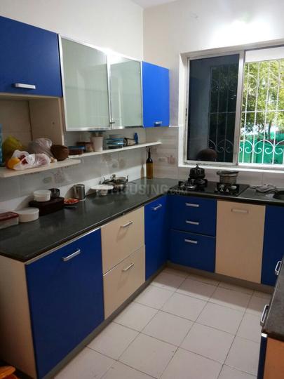 Pristine Zircon Main Image 1