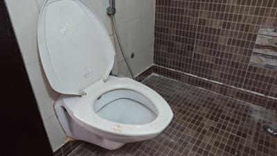 ABA Olive County Bathroom Four 4