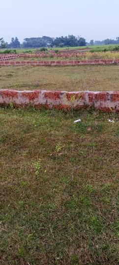 Hanspal Main Image 1