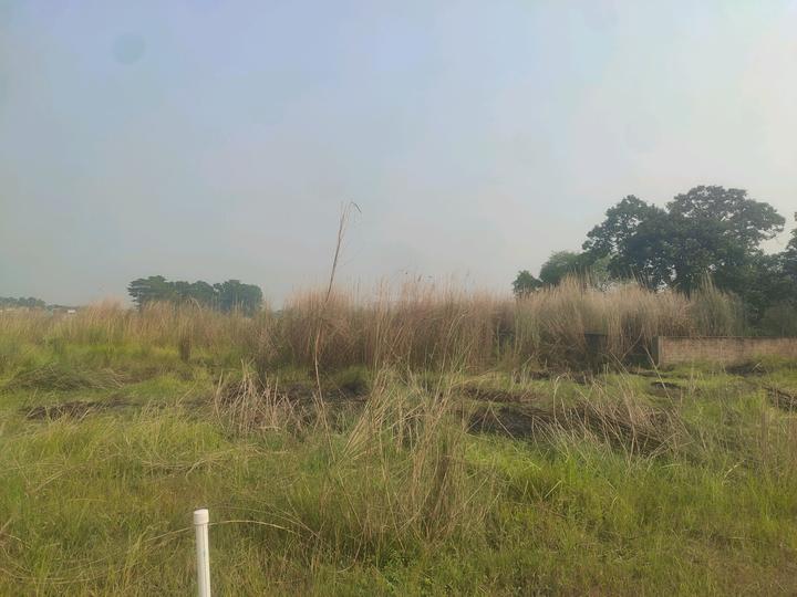 Dream City Kolkata Main Image 1