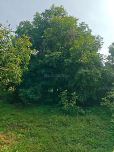 Image of 45302 Sq.ft Residential Plot / Land for sale in Kadavur, Madurai for Rs. 20000000