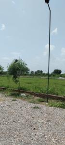 Image of 1350 Sq.ft Residential Plot / Land for sale in Jait, Vrindavan for Rs. 2550000