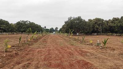 Image of 1197 Sq.ft Residential Plot / Land for sale in Mylavaram, Vijayawada for Rs. 700000
