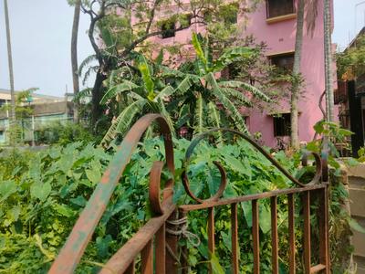 Gopalpur Gram Plot View 3