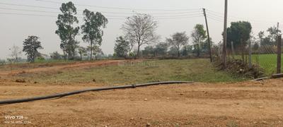 Image of 2412 Sq.ft Residential Plot / Land for sale in Amleshwar, Raipur for Rs. 1447200