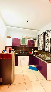 Kitchen Image of 1154 Sq.ft 2 BHK Apartment / Flat for sale in Sector 20 Panchkula for Rs. 5299568