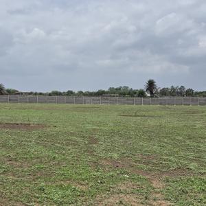Image of 1000 Sq.ft 2 BHK Farm House for sale in Saddu, Raipur for Rs. 700000