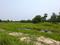 Natures Paradise Main Image 1