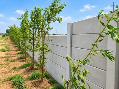 Vista green Plot View 3