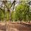 Shree ram Plot View 2