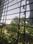 Savedi Balcony 1