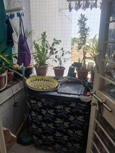 Balcony Image of 750 Sq.ft 2 BHK Apartment / Flat for sale in Dattawadi Pune for Rs. 4800000