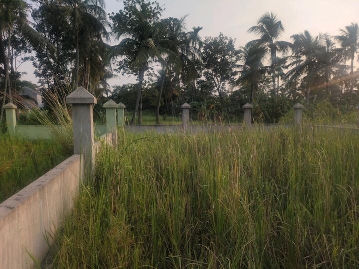 Bhasa Eco Village Main Image 1