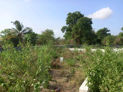 Maan Plot View 2