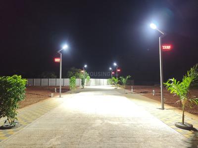 Beerihundi Plot View 1