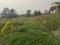 Sonarpur Main Image 1