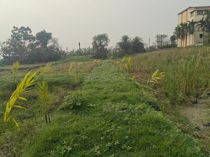 Sonarpur Main Image 1