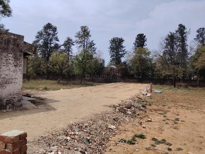 Image of 1271 Sq.ft Residential Plot / Land for sale in Asola, New Delhi for Rs. 55000000