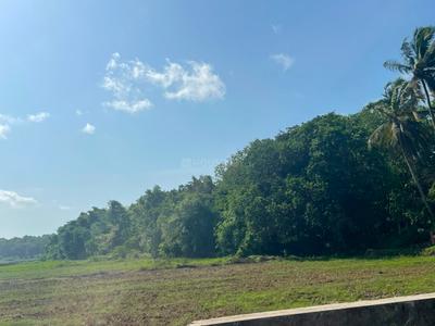Image of 3700 Sq.ft Residential Plot / Land for sale in Aldona, Goa for Rs. 166500000
