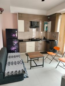 Hall Image of 550 Sq.ft 1 RK Apartment / Flat for sale in Malsi Dehradun for Rs. 4800000