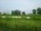 Del Ncr CIty Main Image 1