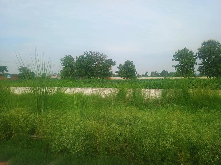 Del Ncr CIty Main Image 1