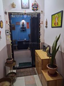 Hall Image of 1650 Sq.ft 3 BHK Apartment / Flat for rent in Sattva Celesta, Battarahalli Bengaluru for Rs. 65000