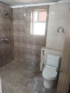 Bathroom Image of 1141 Sq.ft 2 BHK Apartment / Flat for sale in Siddha Aangan Phase III Mayur And Saras, Bagru Jaipur for Rs. 4000000