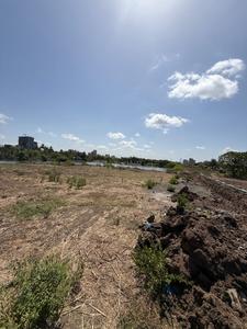 Dighode Plot View 1