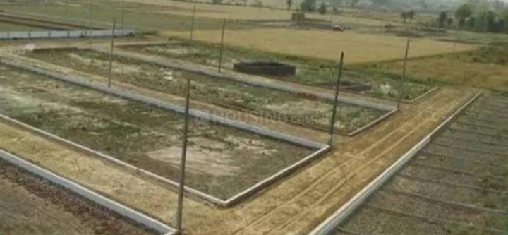 Maholi Main Image 1