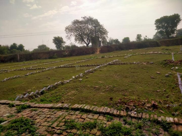 Aliabad Main Image 1