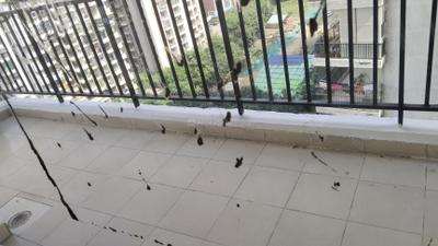 Balcony Image of 1650 Sq.ft 3 BHK Apartment / Flat for sale in Panchsheel Wellington, Crossings Republik Ghaziabad for Rs. 13200000