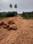 Balianta Plot View 2