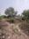 Vantage homes Main Image 1