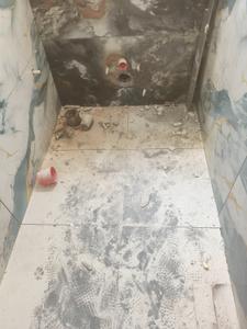 Image of 1800 Sq.ft 3 BHK Builder Floor for rent in Rajajinagar, Bengaluru for Rs. 35000