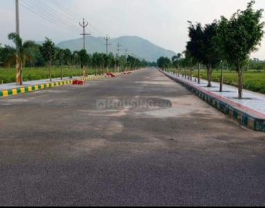 Sukrithi sravvya Plot View 3