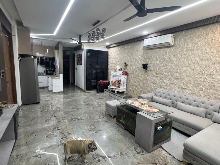 shashank appt Main Image 1