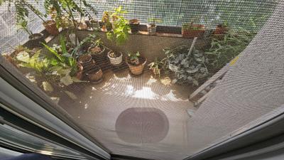 Bedroom Image of 1185 Sq.ft 2 BHK Apartment / Flat for rent in Kothrud Pune for Rs. 50000