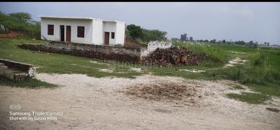 Tindola Plot View 2