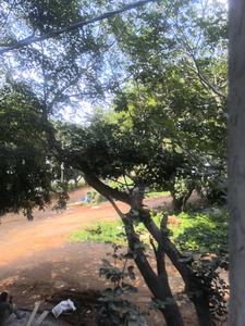 Bedroom Five Image of 3150 Sq.ft 5 BHK Apartment / Flat for sale in Bangalore City Municipal Corporation Layout Bengaluru for Rs. 29000200