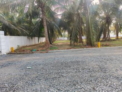 Bhogapuram Plot View 2