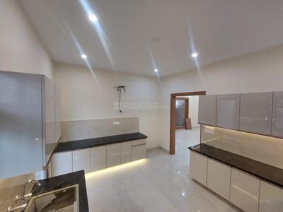 Kitchen Image of 1190 Sq.ft 2.5 BHK Apartment / Flat for rent in Swarn Nagari Greater Noida for Rs. 30000