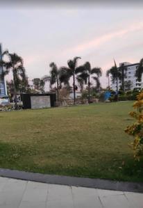 Image of 1000 Sq.ft Residential Plot / Land for sale in Rau, Indore for Rs. 6200000
