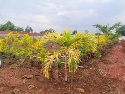 Residential Plot